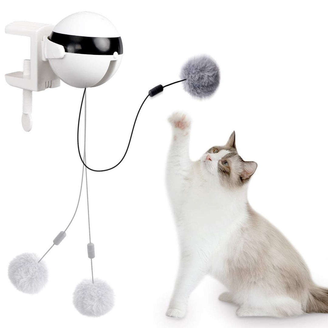 Automatic Cat Toy Ball - beumoonshop