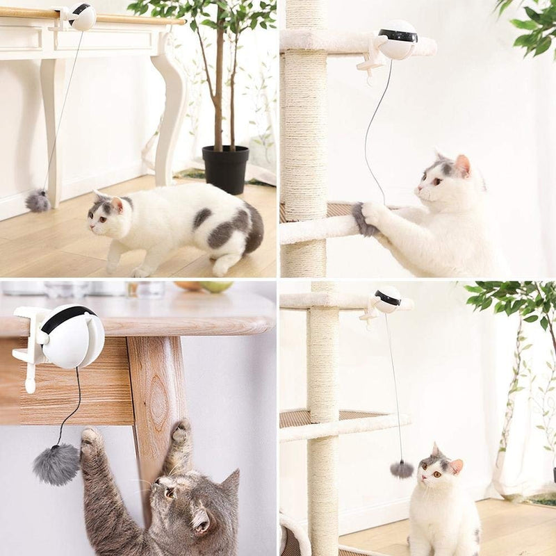 Automatic Cat Toy Ball - beumoonshop