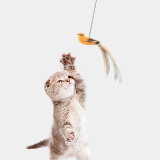 Cat Toy - HunterCat™ - beumoonshop