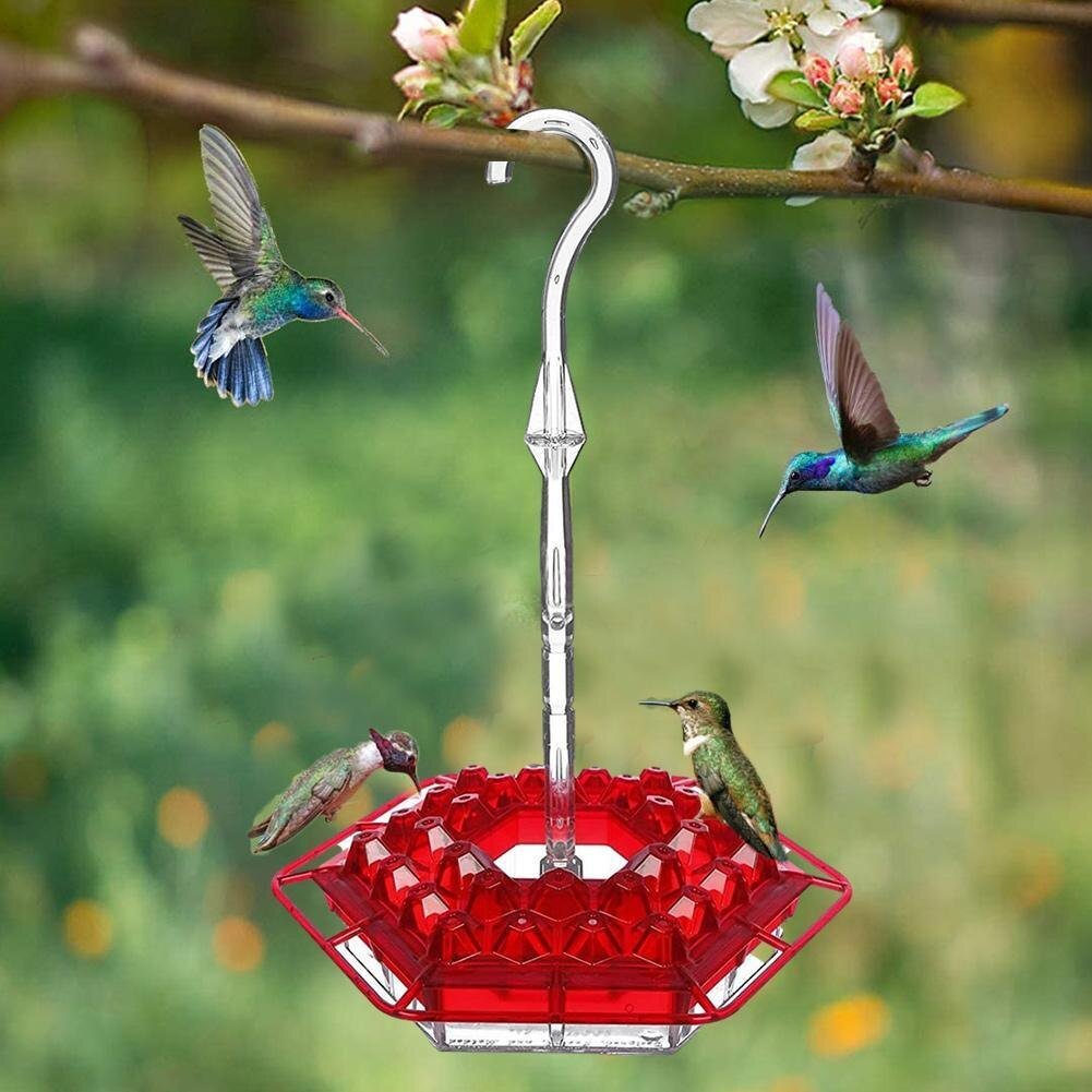 Hummingbird Feeder With Perch And Built-in Ant Moat - beumoonshop