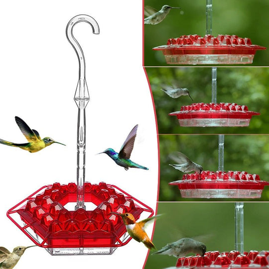 Hummingbird Feeder With Perch And Built-in Ant Moat - beumoonshop