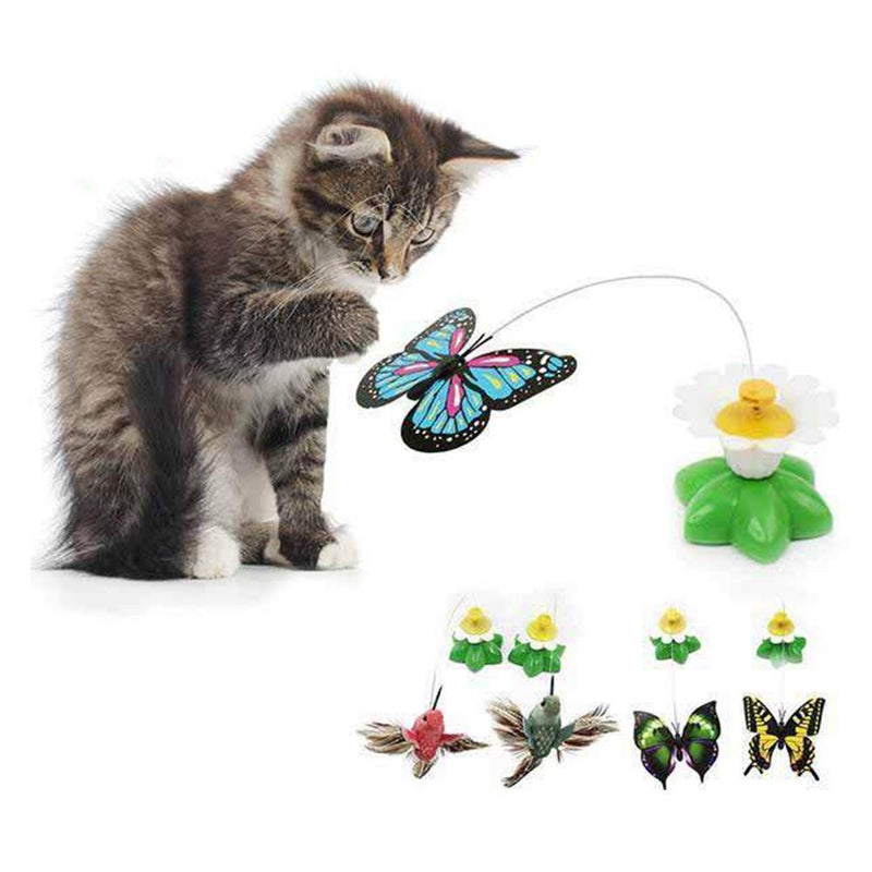 Interactive Bird Cat Toy - beumoonshop
