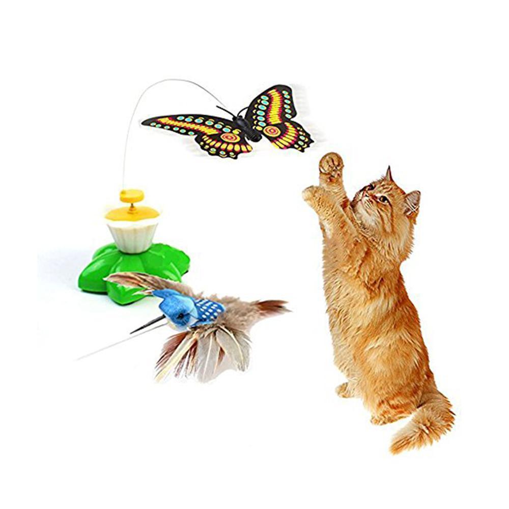 Interactive Bird Cat Toy - beumoonshop