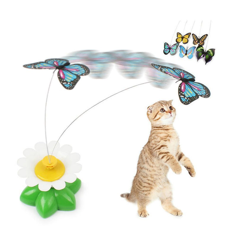 Interactive Bird Cat Toy - beumoonshop