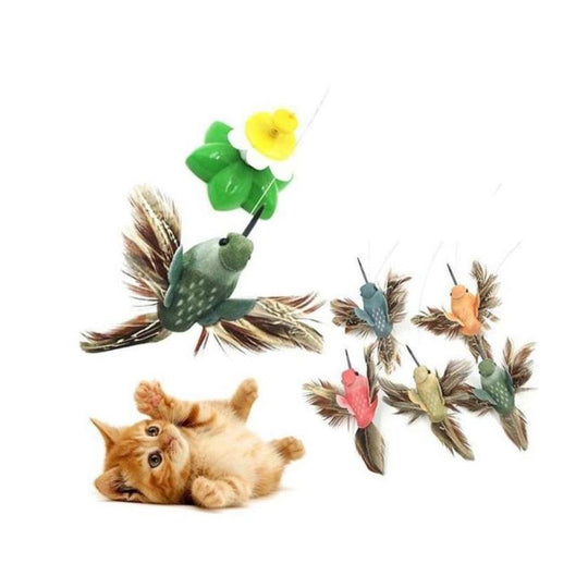 Interactive Bird Cat Toy - beumoonshop