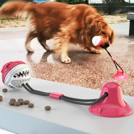 Interactive Dog Toy - beumoonshop