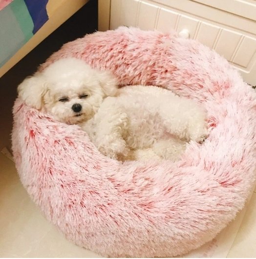 Pet Donut Bed Comfortable - beumoonshop