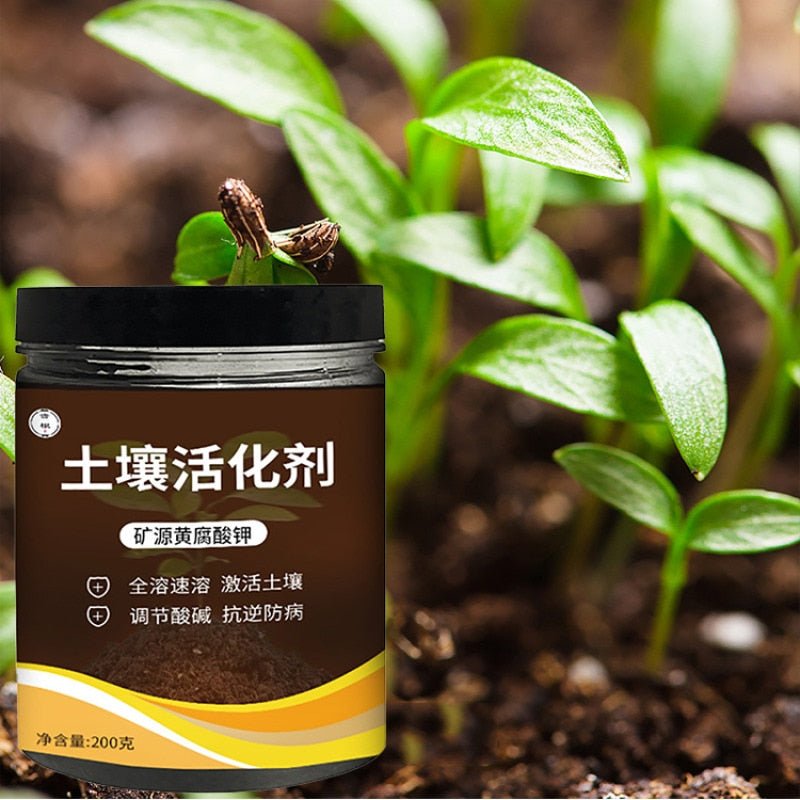 Plant and Flower Fertilizer - beumoonshop