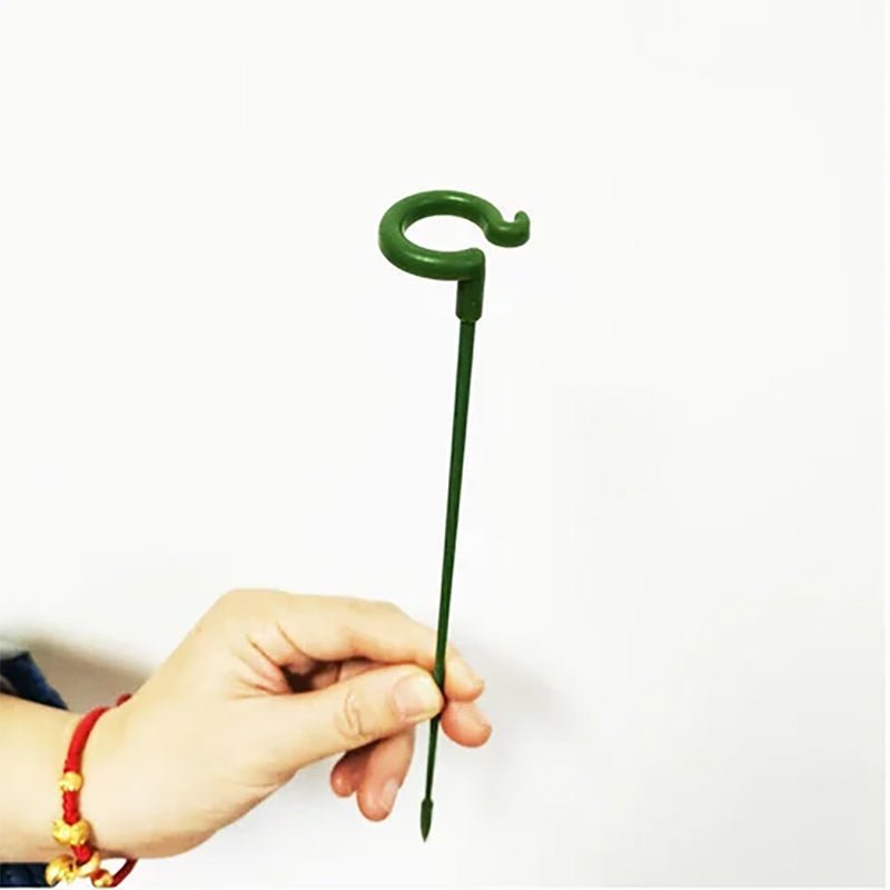 Plant Support Stake - beumoonshop