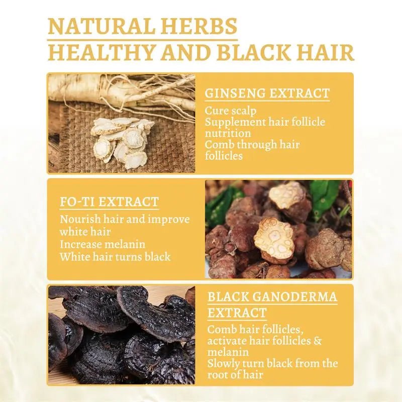 Revive Black Oil - Rejuvenate Hair Naturally - beumoonshop